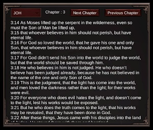 World English Bible Screenshot 0