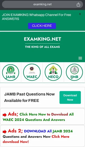 Examking  NG Screenshot 0