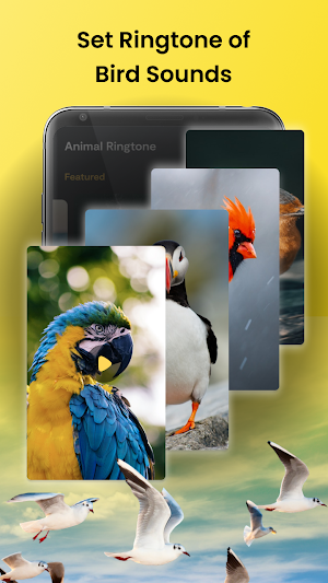 Animal Sounds - Bird Ringtones Screenshot 3