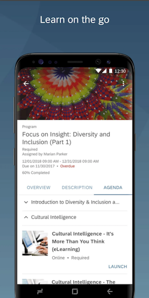 SuccessFactors Screenshot 2