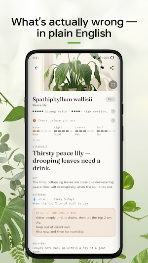Plumula: AI Plant Doctor Screenshot 0