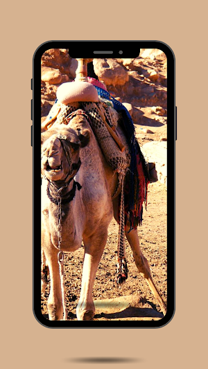 Camel Ringtone Screenshot 1