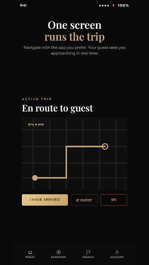 Global Vogue VIP Chauffeur Screenshot 1