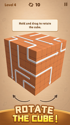Arrowaze: 3D Wood Escape Screenshot 0