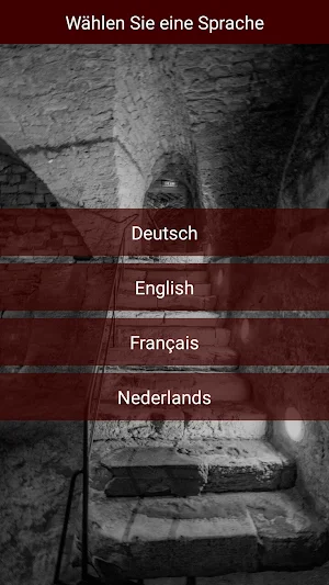 Hinter Schloss und Riegel Screenshot 1