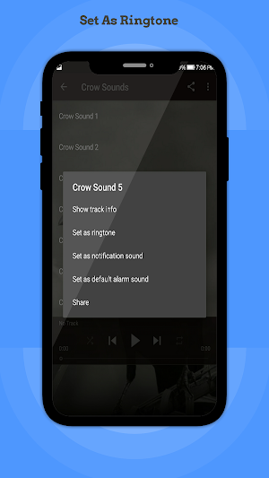 Crow Sounds Screenshot 2