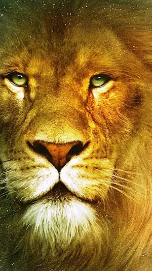 Lion Wallpapers Screenshot 2