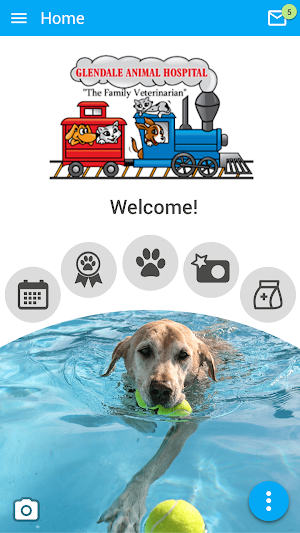Glendale Animal Hospital Screenshot 0