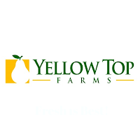 Yellow Top Farms Online