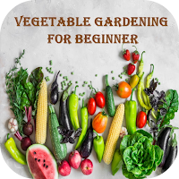 Vegetable Gardening Beginner
