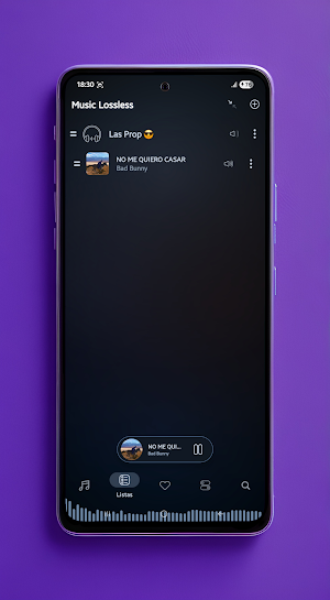 Music Lossless - Music Player Screenshot 1