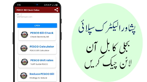 PESCO Online Bill Check Screenshot 0
