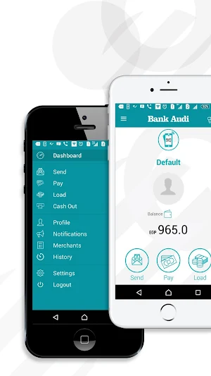 Audi2Pay Screenshot 1