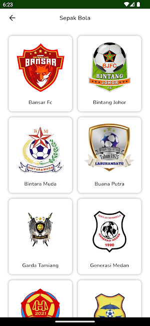 MFL Sport Screenshot 2