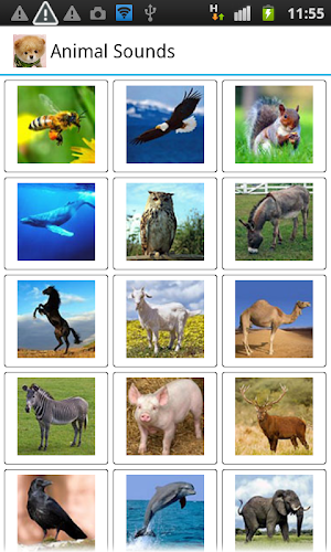 Animal Sounds Screenshot 0