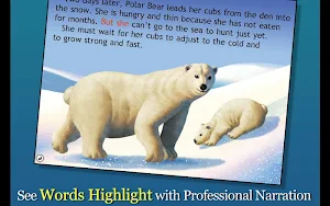 Polar Bear Horizon Screenshot 1