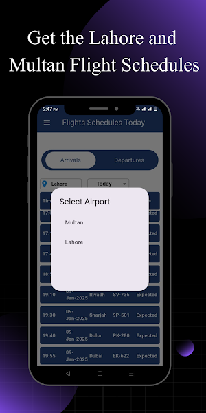 Flights Schedules Inquiry Screenshot 2