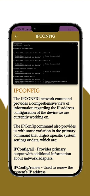 CMD Network Commands Guide Screenshot 3