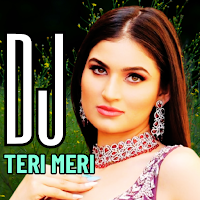 DJ India Teri Meri Remix 2025