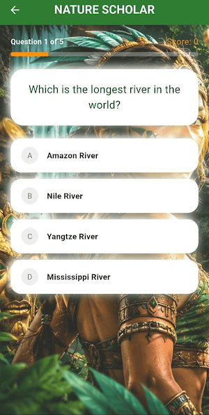 Fabulous Bingo Screenshot 3