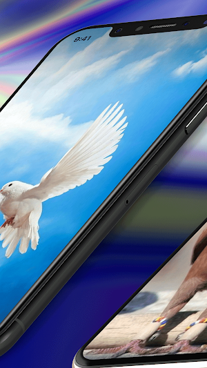 Pigeon Wallpaper 4K Screenshot 1
