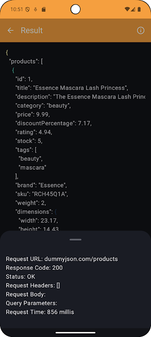 API Tester Screenshot 3
