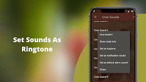 Crow Sounds - Crow Calls & Ringtones Screenshot 2