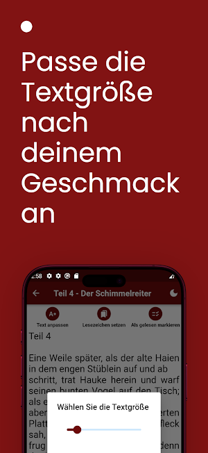 Der Schimmelreiter - Buch Screenshot 3
