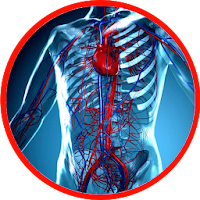 Anatomy - Physiology