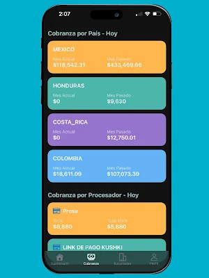EuroPay Screenshot 2