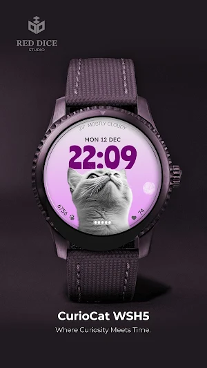 Reddice CurioCat WSH5 Screenshot 3