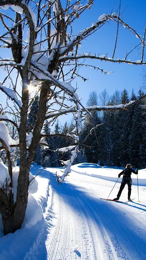 Cross country Skiing Wallpaper Screenshot 0