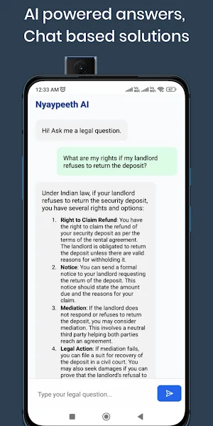 Legal AI Assistant - Nyaypeeth Screenshot 2