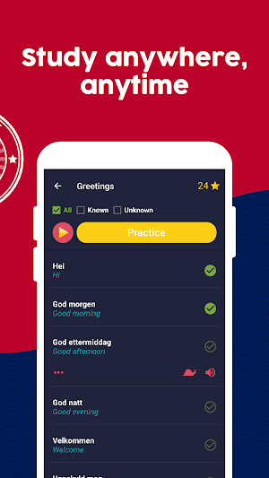 Learn Norwegian - Beginners Screenshot 1