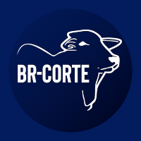 BR-Corte