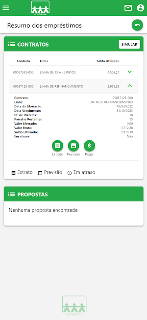 Coperura Screenshot 3