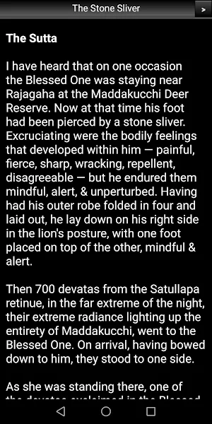 The Stone Sliver Sutta Screenshot 2
