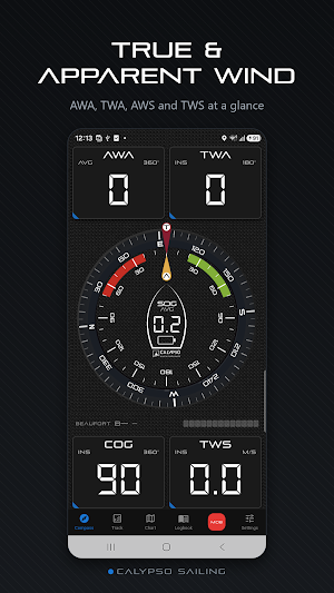 CalypsoSailing Screenshot 0