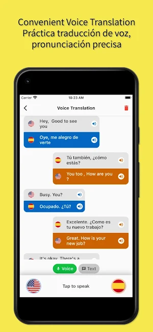 English to Spanish Translation Screenshot 2