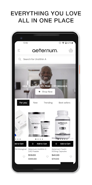 Aeternum Screenshot 0