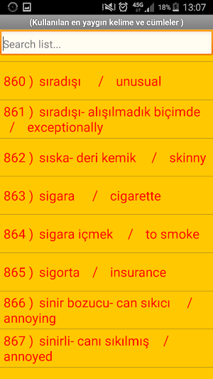 Turkish English Translation Screenshot 3