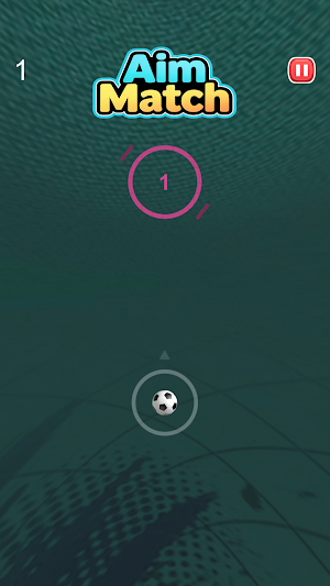 AimMatch Screenshot 1