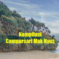 Kompilasi Campursari Mak Nyus