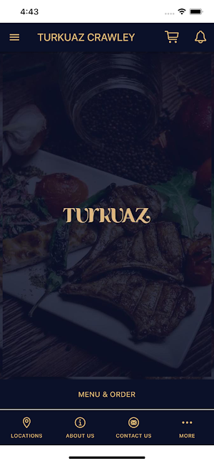 Turkuaz Crawley Screenshot 0