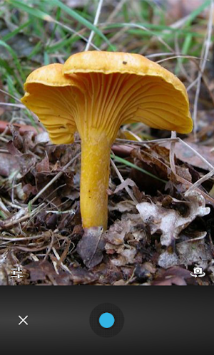 Mushroom Tracker Premium Screenshot 3