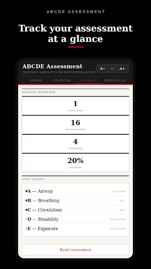ABCDE Assessment Screenshot 3