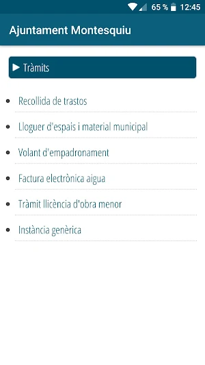 Ajuntament de Montesquiu Screenshot 1
