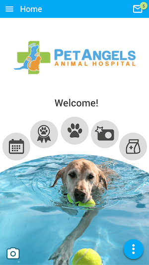Pet Angels Vet Screenshot 0