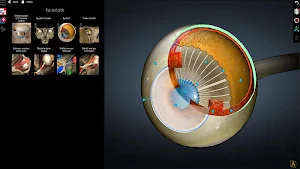 Anatomy Learning - 3D Anatomy Atlas Screenshot 2