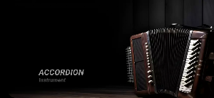 Accordion Instrument Screenshot 0